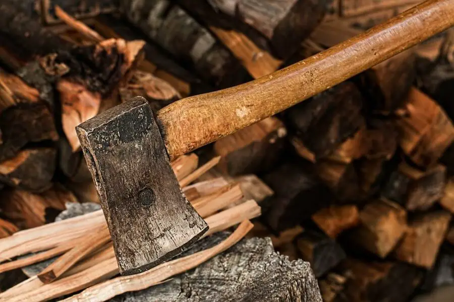Gdzie znaleźć niedrogie drewno opałowe? Sprawdź najlepsze źródła zakupu!