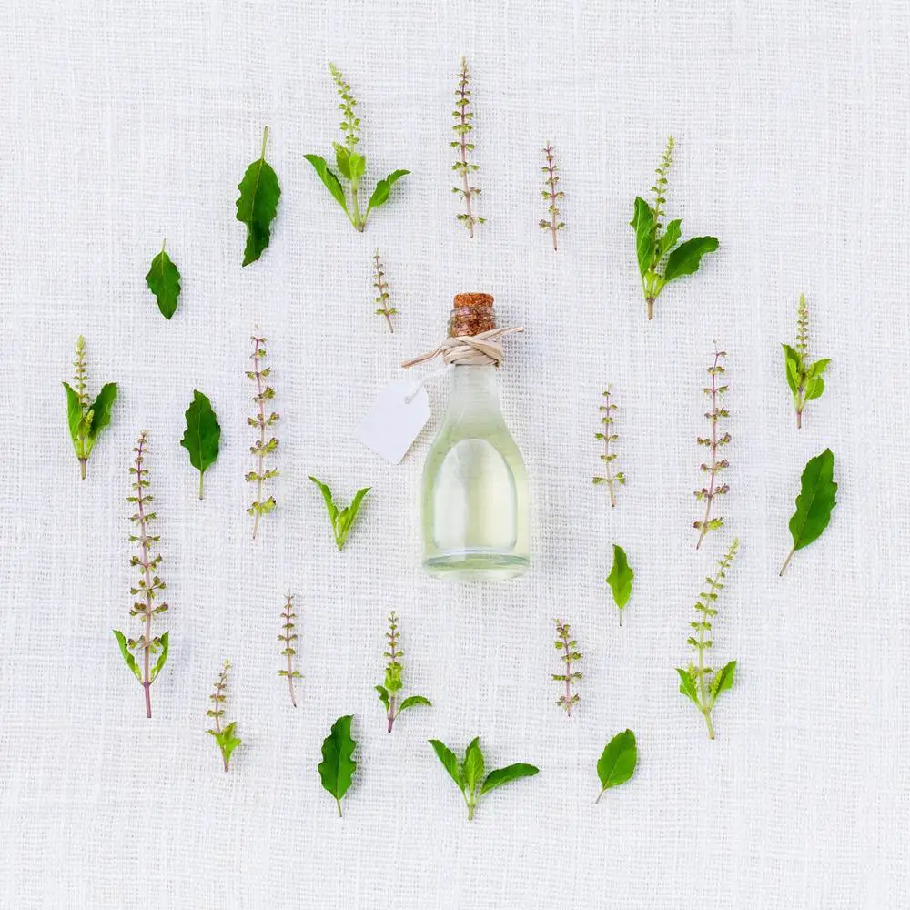 „Perfumy: Tajemnice i bogactwo świata zapachów”