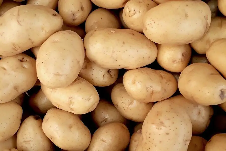 Jakie przyprawy doskonale pasują do smażonych ziemniaków?
