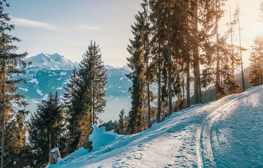 Jak wybrać odpowiednie narty dla średnio zaawansowanych – poradnik dla skierowanych w góry.