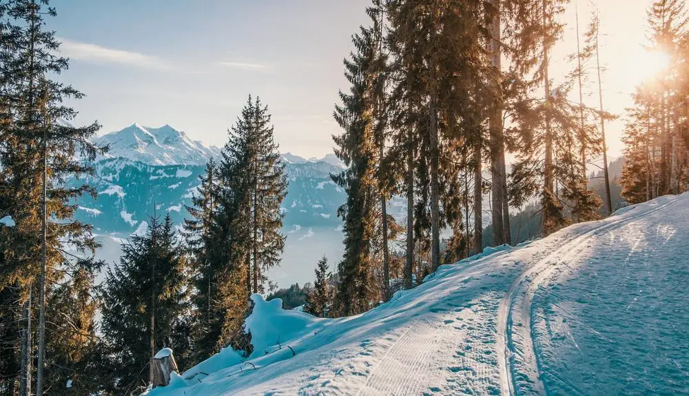Jak wybrać odpowiednie narty dla średnio zaawansowanych – poradnik dla skierowanych w góry.